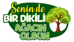 Senin de bir dikili ağacın olsun